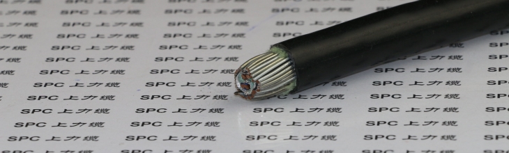 SPCFC-PVC-Y(L)CBY电缆